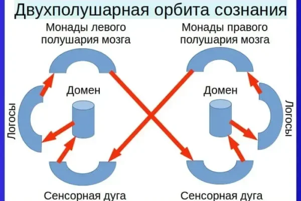 Межполушарное взаимодействие сознания головного мозга
