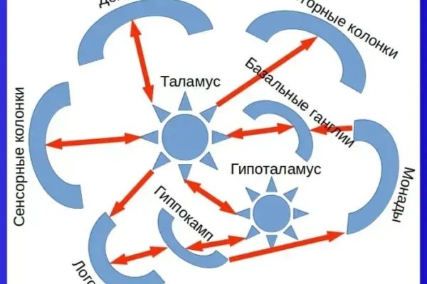 Модульная психология, терминология до 25 января 2019 года
