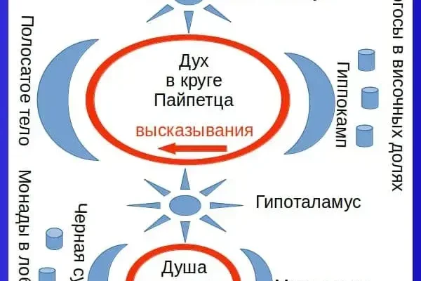 Теория души и духа человека