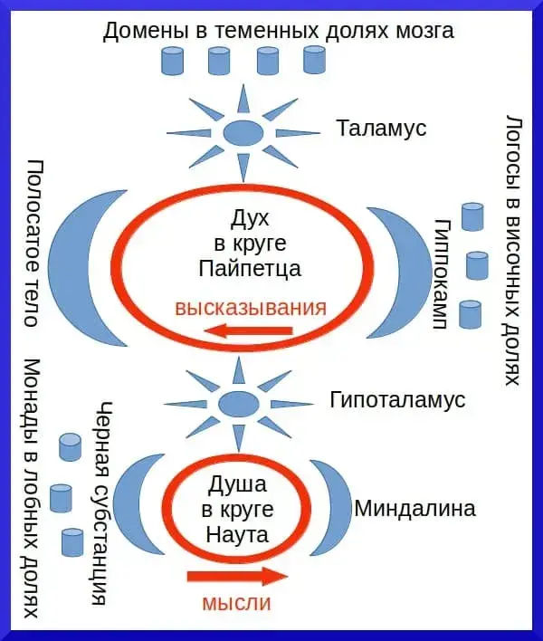 Теория души и духа человека