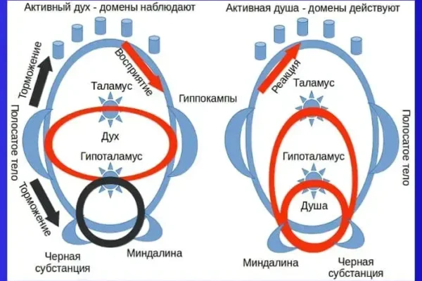 Теория сознания и личности - концепция Андрея Булатова