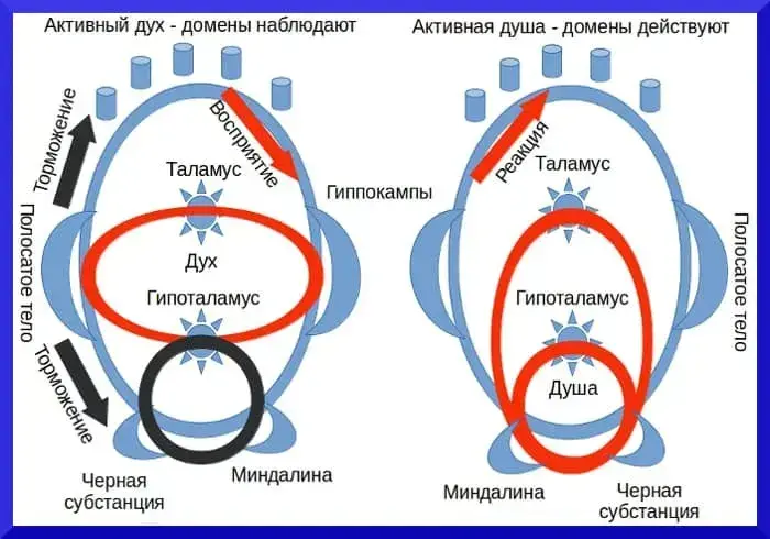 Теория сознания и личности - концепция Андрея Булатова