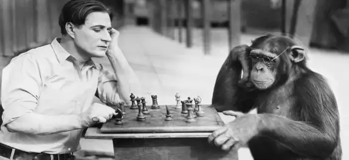 Почему добрые люди глупые - концепция Андрея Булатова