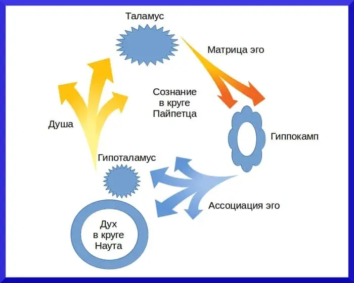 Эго в структуре сознания - концепция Андрея Булатова