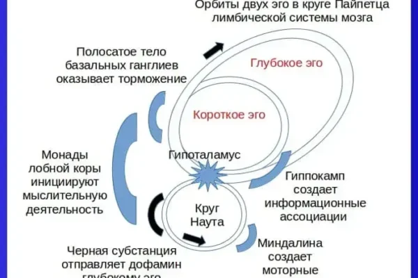 Лицемерие и двуличие - четыре эго человека