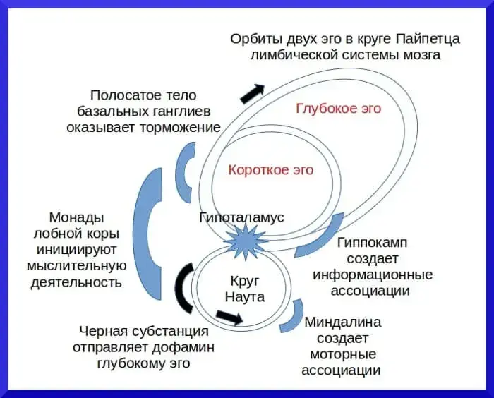Лицемерие и двуличие - четыре эго человека