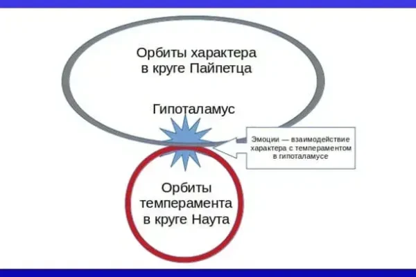 Темперамент и эмоции в ядрах гипоталамуса
