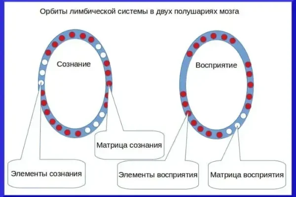 Теория сознания и матрица восприятия