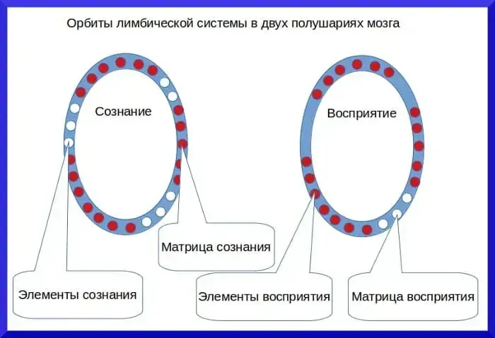 Теория сознания и матрица восприятия