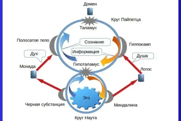 Эго человека в круге - концепция Андрея Булатова