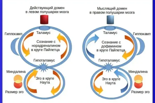 Эго и сознание человека - концепция Андрея Булатова