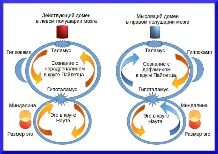 Эго и сознание человека - концепция Андрея Булатова