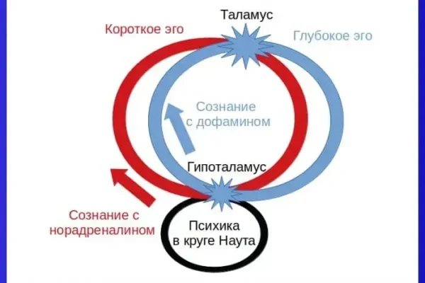 Короткое и глубокое эго человека до 12 февраля 2020 года