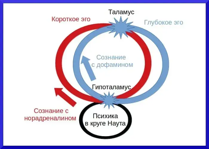 Короткое и глубокое эго человека до 12 февраля 2020 года