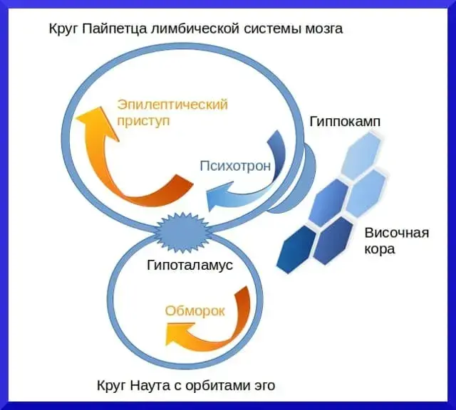 Отличие обморока от эпилептического приступа - концепция Андрея Булатова