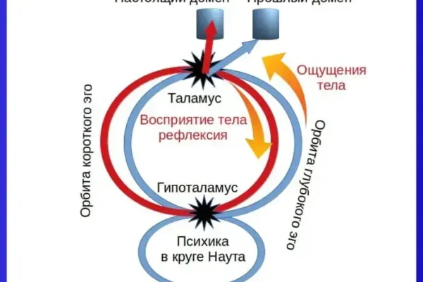 Рефлексия и продолжительность жизни человека до 12 февраля 2020 года