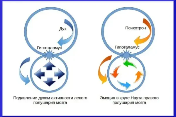 Теория эмоций и чувств - концепция Андрея Булатова