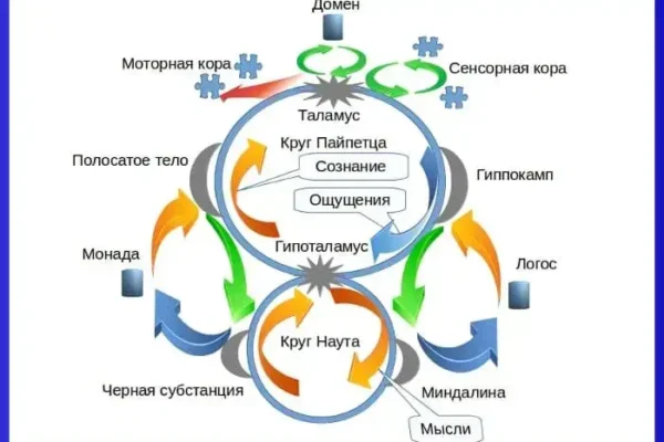 Теория мышления и познания - концепция Андрея Булатова