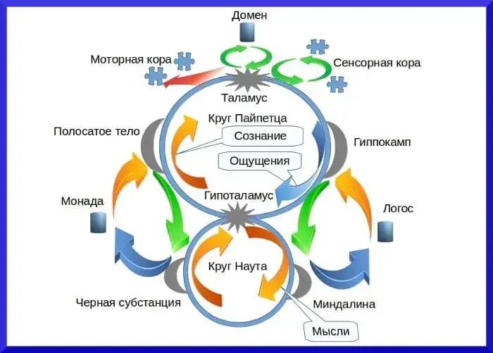 Теория мышления и познания - концепция Андрея Булатова