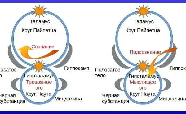 Анатомия и физиология эго - концепция Андрея Булатова