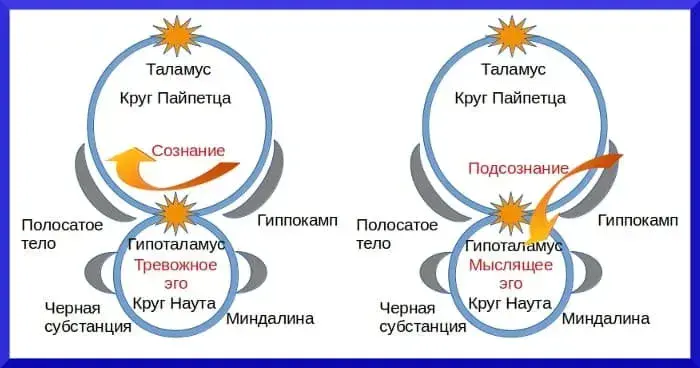 Анатомия и физиология эго - концепция Андрея Булатова