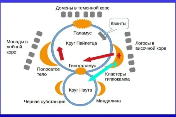 Понятия психологии - концепция Андрея Булатова
