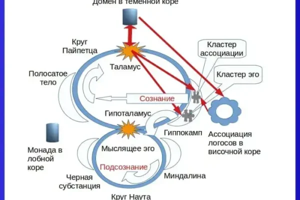 Психология познания - концепция Андрея Булатова