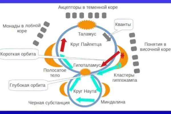 Парадигма психологии - концепция Андрея Булатова