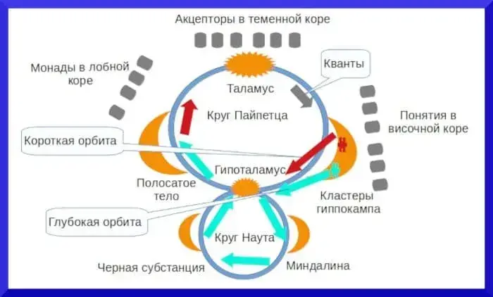 Парадигма психологии - концепция Андрея Булатова