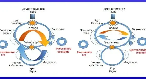 Психология эго и теория познания - концепция Андрея Булатова