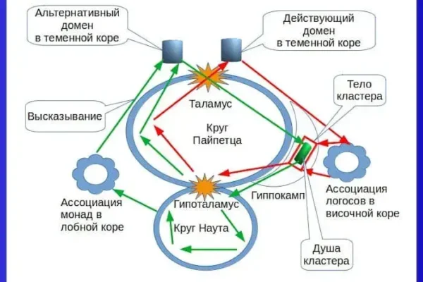Нейрофизиология души и познания - концепция Андрея Булатова