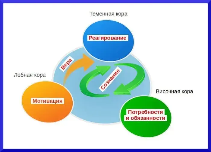 Реагирование, потребности, мотивация, вера - концепция Андрея Булатова