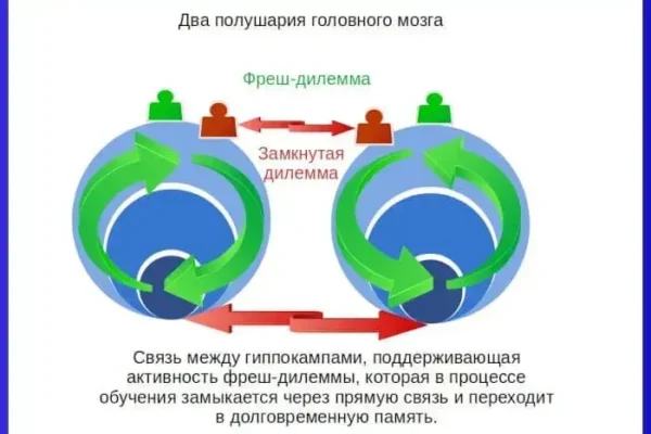 Межполушарное взаимодействие - концепция Андрея Булатова