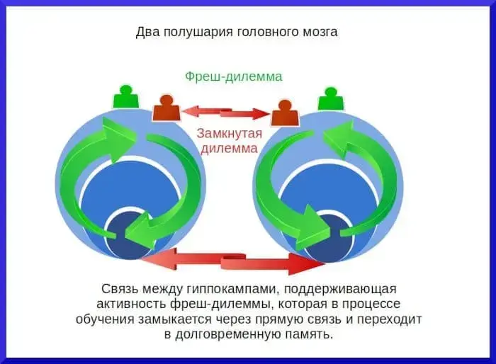 Межполушарное взаимодействие - концепция Андрея Булатова