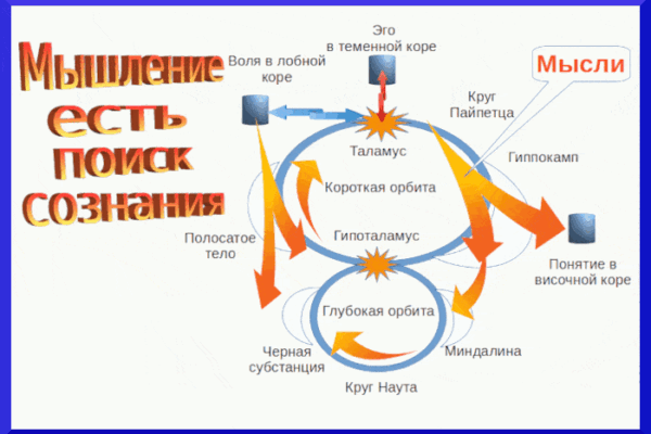 Теория мышления и сознания - концепция Андрея Булатова