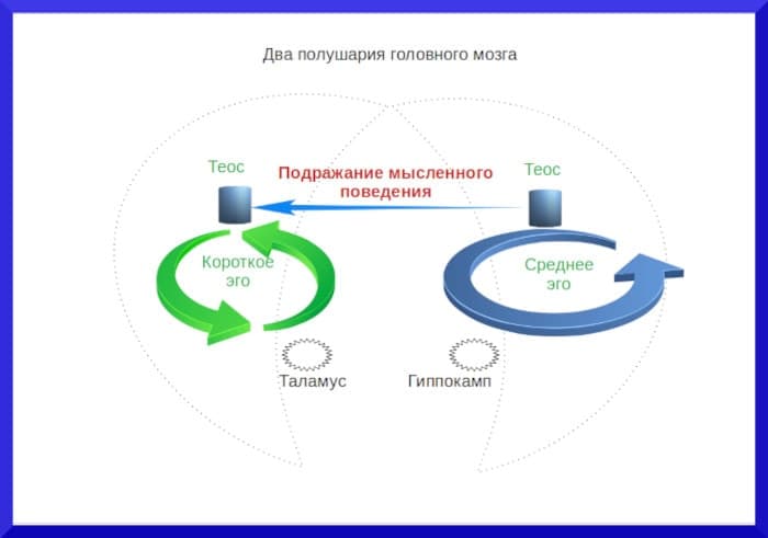 Межполушарное взаимодействие Межполушарное взаимодействие