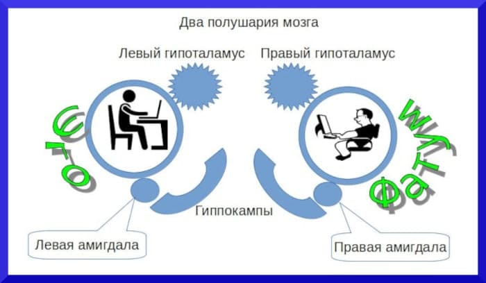 Таламопсихология смеха
