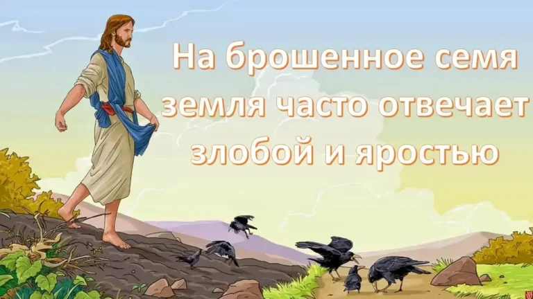 Пять видов почвы для истины - концепция Андрея Булатова