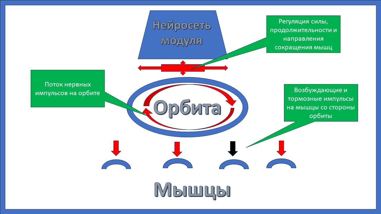 Регуляция импульсов на орбите