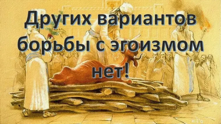 Философия эгоизма и общее благо - концепция Андрея Булатова