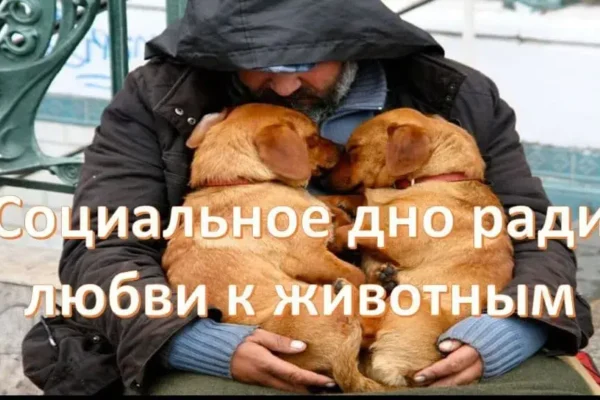 Кто не любит, тот пусть ненавидит - концепция Андрея Булатова