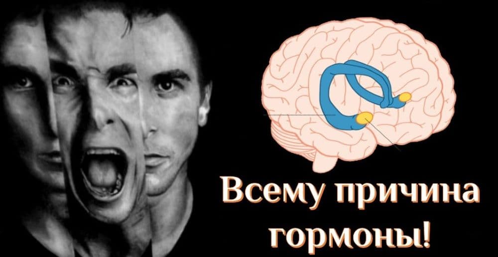 Психоз и невроз в виде гормонов