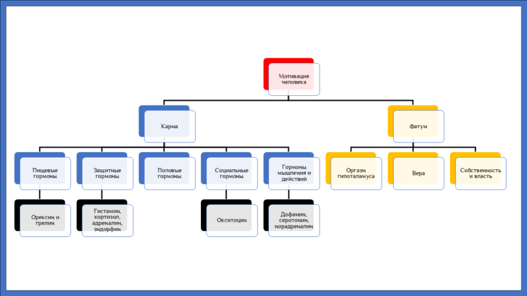 Гормональная мотивация