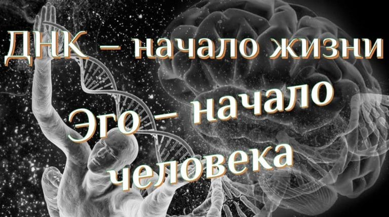 ДНК есть Эго человека - концепция Андрея Булатова