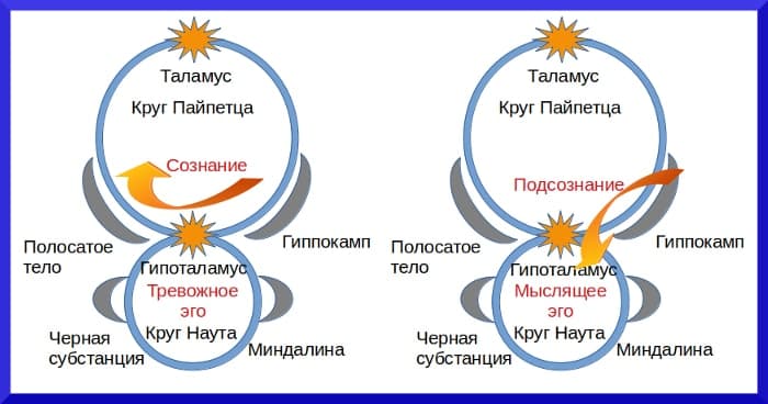 Анатомия и физиология эго Эго человека в круге - концепция Андрея Булатова