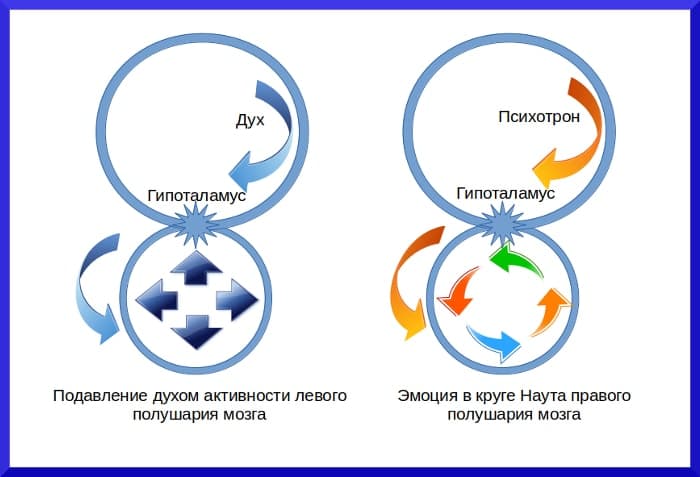 Образование эмоции - концепция Андрея Булатова