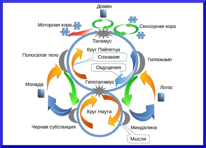 Теория мышления и познания Схема мышления человека - концепция Андрея Булатова