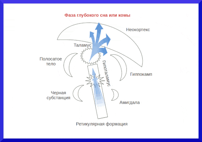 Эго есть вихрь нервных импульсов - концепция Андрея Булатова