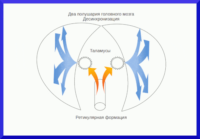 Нейрофизиология души - концепция Андрея Булатова