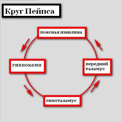 Круг Пейпса - концепция Андрея Булатова